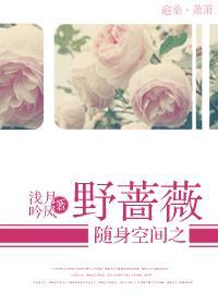 随身空间之野蔷薇封面