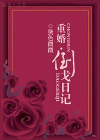 重婚之倒戈日记封面