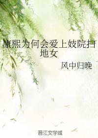 康熙为何会爱上妓院扫地女封面