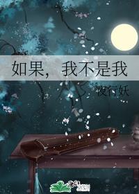 如果,我不是我封面