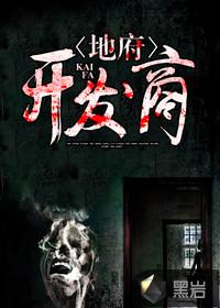 地府开发商封面