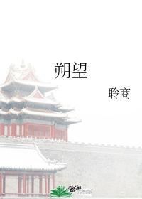 朔望封面
