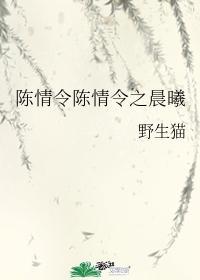 陈情令之晨曦封面