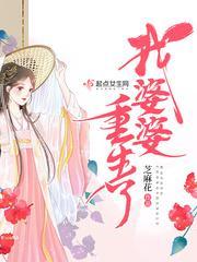 我婆婆重生了封面