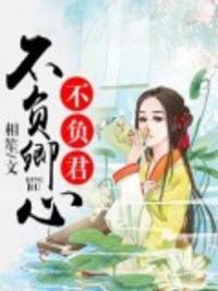 不负如来不负卿封面
