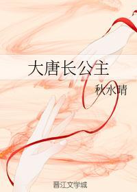 大唐长公主封面