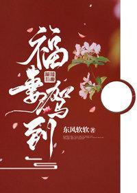 福妻驾到封面