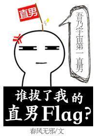 谁拔了我的直男Flag?封面