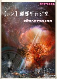 [HPDHGSG]颠覆平行时空封面