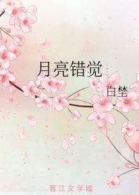 月亮错觉封面