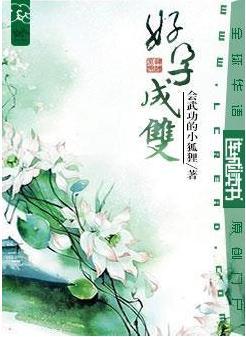 好孕成双封面