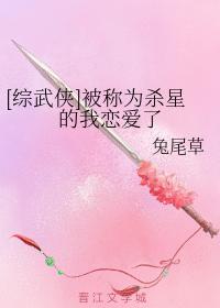 [综武侠]被称为杀星的我恋爱了封面