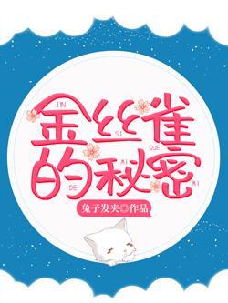金丝雀的秘密封面
