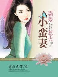 霸爱惹火小蛮妻封面