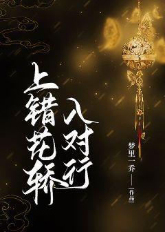 上错花轿入对行封面