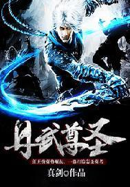 丹武尊圣封面