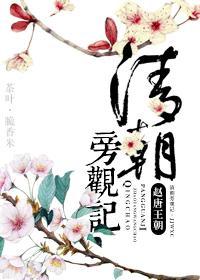 清朝旁观记封面