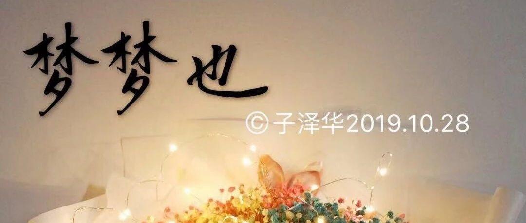 梦梦也封面