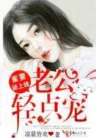 蜜妻新上线:老公,轻点宠!封面