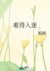 难得入迷封面