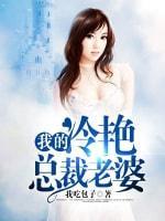 我的冷艷总裁老婆封面