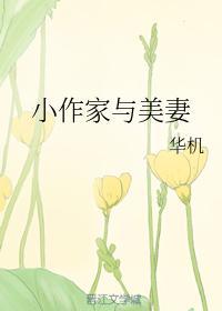小作家与美妻封面