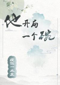 他开局一个碗封面