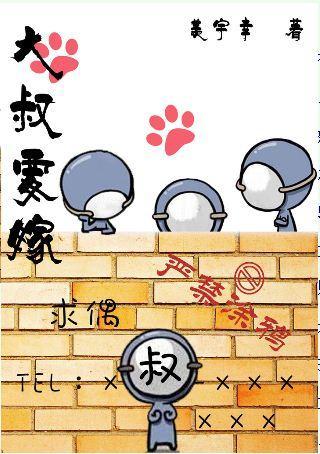 大叔要嫁封面