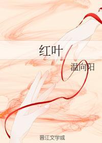 红叶封面