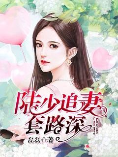 陆少追妻套路深封面