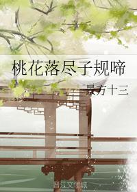 桃花落尽子规啼封面