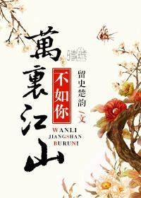 万里江山不如你封面