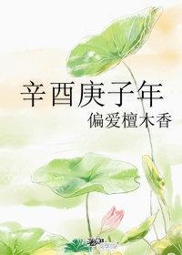 辛酉庚子年封面