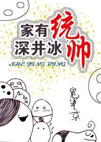 家有统帅，深井冰封面