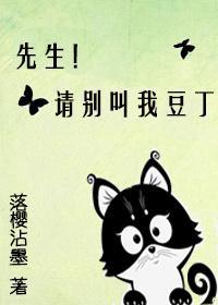 先生!请别叫我豆丁封面