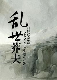乱世莽夫封面