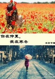 你在仲夏,我在寒冬封面
