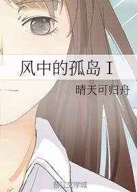风中的孤岛Ⅰ封面