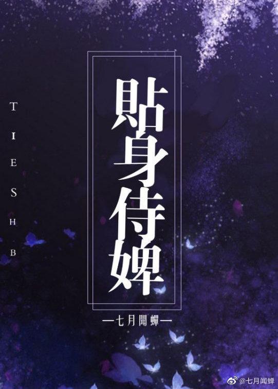 他的贴身丫鬟封面