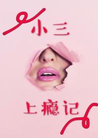 小三上瘾记封面