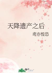 天降遗产之后封面