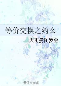 等价交换之约么封面