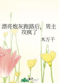 漂亮炮灰跑路后，男主攻疯了封面
