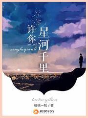 许你星河千里封面