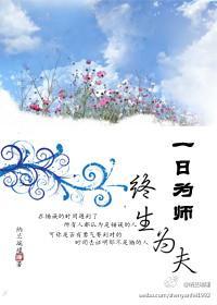 一日为师终生为夫封面