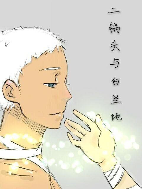二锅头与白兰迪封面