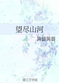 望尽山河封面