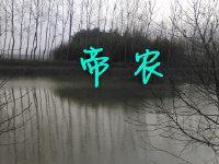 帝农封面