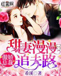 傲娇总裁：甜妻漫漫追夫路封面