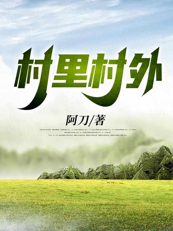 村里村外封面